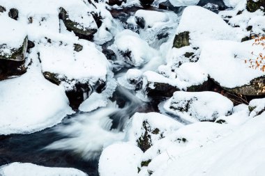 Kış ormanında donmuş nehir