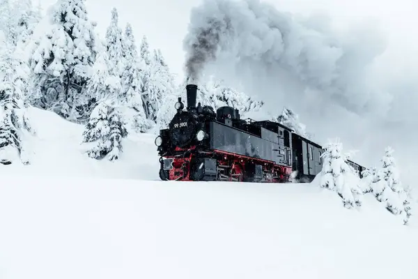 古老的火车在雪地的冬季森林里 — 图库照片