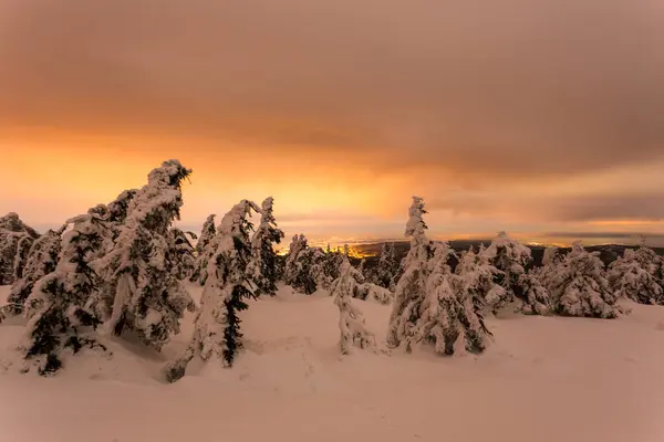 Красивый Зимний Пейзаж Снежными Деревьями Горах — стоковое фото