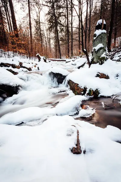 Zamarznięta Rzeka Lesie Zimowym — Zdjęcie stockowe