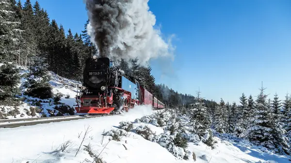 Karlı kış ormanlarında buharlı tren