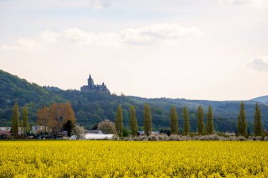 Dağ vadisindeki olgun tarlalar