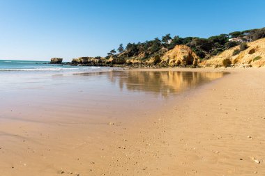 Güneşli bir günde güzel deniz kıyısında 