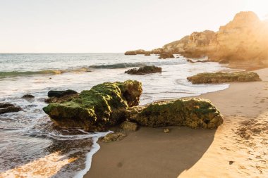 Güneşli bir günde dalgalı deniz kıyısında