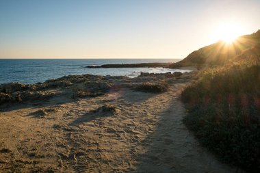Güneşli bir günde dalgalı deniz kıyısında