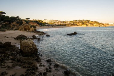 Güneşli bir günde dalgalı deniz kıyısında