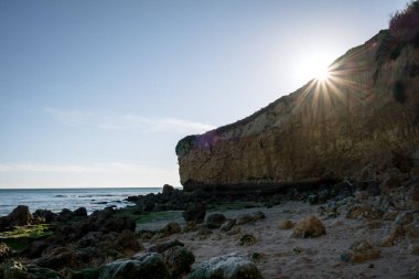 Güneşli bir günde dalgalı deniz kıyısında