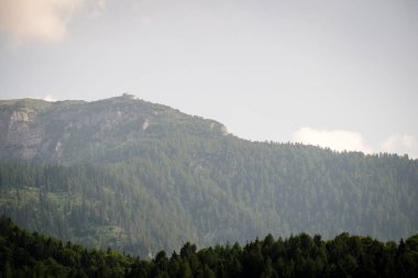 güzel dağ manzarası ile yeşil orman