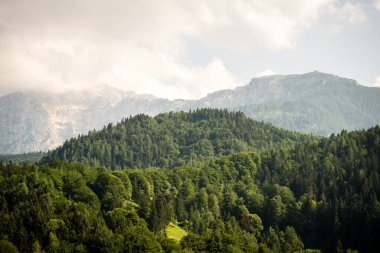güzel dağ manzarası ile yeşil orman