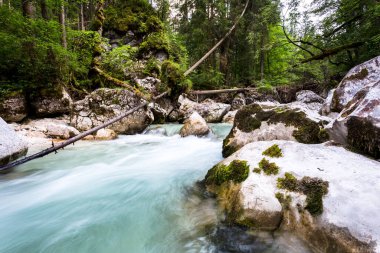 Yeşil ormanda güzel bir şelale