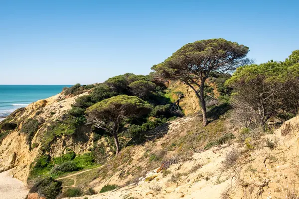 Güneşli bir günde güzel deniz kıyısında