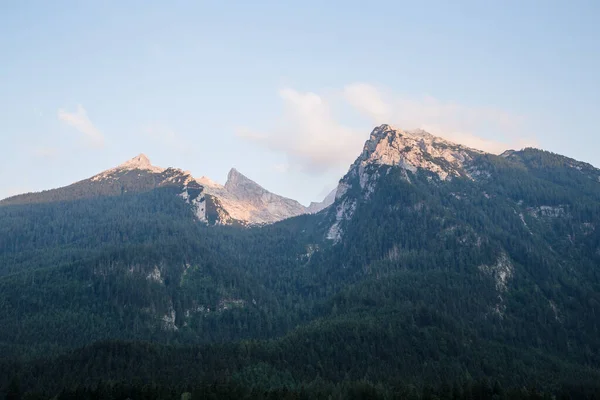 Красивий Гірський Пейзаж Зеленим Лісом — стокове фото