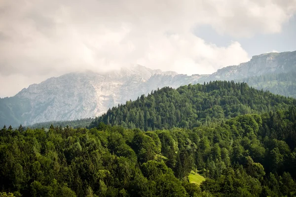 Красивий Гірський Пейзаж Зеленим Лісом Стокова Картинка