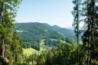 Yazın dağların manzarası