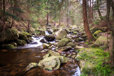 Bir şelalenin öndeki güzel görüntüsü.