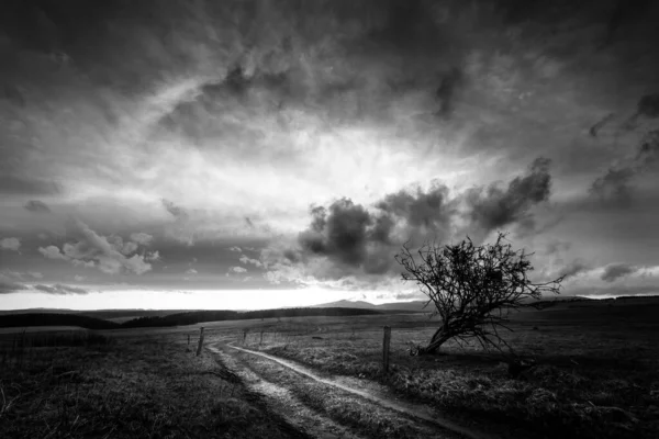 畑の上の美しい雲 — ストック写真