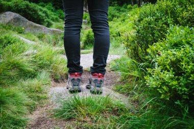 Yazın dağlarda yürüyüş yapan