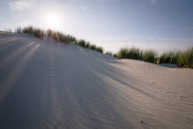 Çölde kumlu bir kum tepesi Akşam ışığında