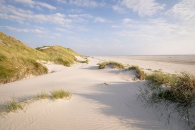 Kumsaldaki kum tepeleri 