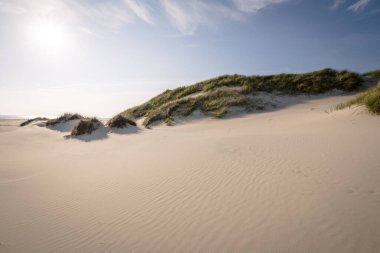 Kumsaldaki kum tepeleri