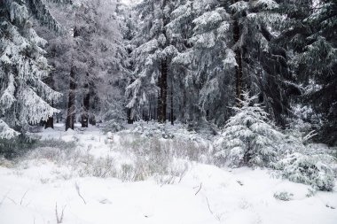 Dağlarda kış manzarası