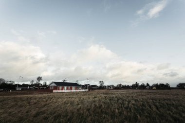 Köy ile tipik Hollanda manzara 