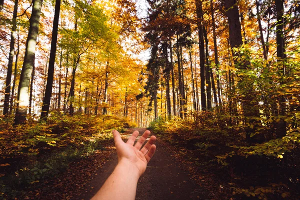 woman  hand outstretched  in the autumn forest