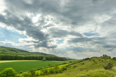 Yazın yeşil tarla ve bulutlu gökyüzü