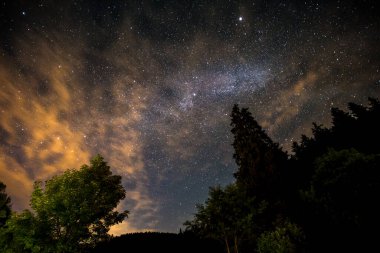 Gece gökyüzü, Samanyolu ve birkaç ağaç