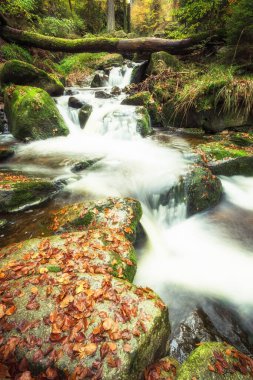Sonbahar manzarası, dağ nehri, büyük kayalar ve düşen yapraklar. 