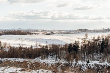 Çıplak ağaçlar ve kışın tarlaları olan karlı bir arazi.    