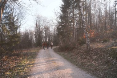 Ormandaki toprak yolda sırt çantalı bir grup insanın arka planı.             