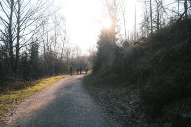 Ormandaki toprak yolda sırt çantalı bir grup insanın arka planı.             