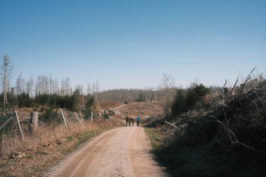 Ormandaki toprak yolda sırt çantalı bir grup insanın arka planı.             