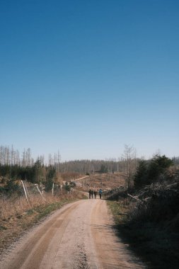 Ormandaki toprak yolda sırt çantalı bir grup insanın arka planı.             