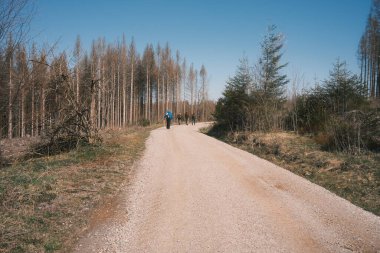 Ormandaki toprak yolda sırt çantalı bir grup insanın arka planı.             