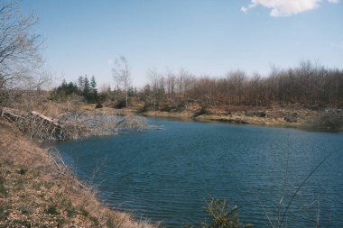 Ağaçlar ve otlarla çevrili güzel göl     