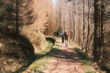 Ormandaki toprak yolda sırt çantalı bir grup insanın arka planı.             