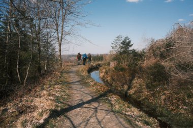 Ormandaki toprak yolda sırt çantalı bir grup insanın arka planı.             
