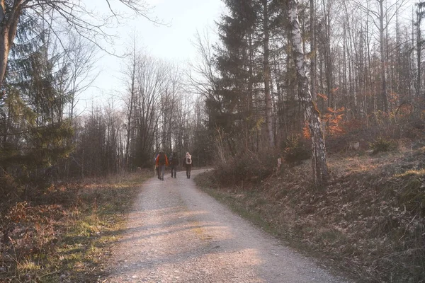 Ormandaki toprak yolda sırt çantalı bir grup insanın arka planı.             