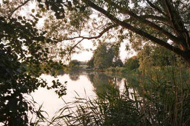 Güzel bir göl manzarası ve yeşil ağaçları var.         