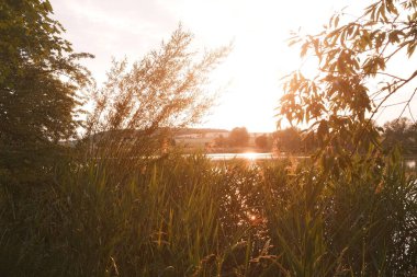 Gün batımında sakin gölü, ağaçları ve otları olan güzel bir manzara.     