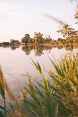 Gün batımında sakin gölü, ağaçları ve otları olan güzel bir manzara.     
