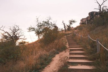 Harz Dağları 'ndaki taş yığınının muhteşem manzarası.                