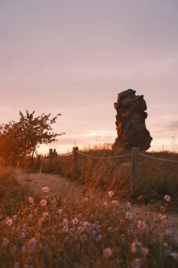 Harz Dağları 'ndaki taş yığınının muhteşem manzarası.                