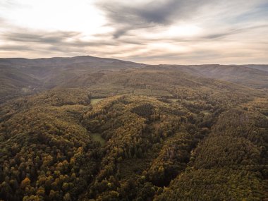 Gökyüzü manzaralı dağlar ve yeşil ağaçlı vadi