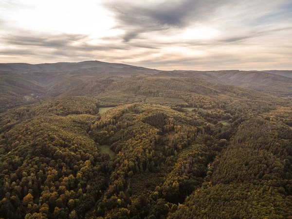 Gökyüzü manzaralı dağlar ve yeşil ağaçlı vadi