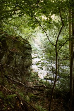 Harz dağlarındaki Bode Kanyonu 'ndan akan güzel bir nehir.                 
