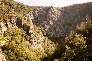 Harz dağlarındaki Bode Kanyonu 'nun güzel manzarası         