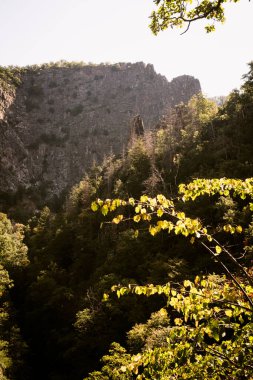 Harz dağlarındaki Bode Kanyonu 'nun güzel manzarası         